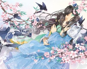 蘑菇视频ios